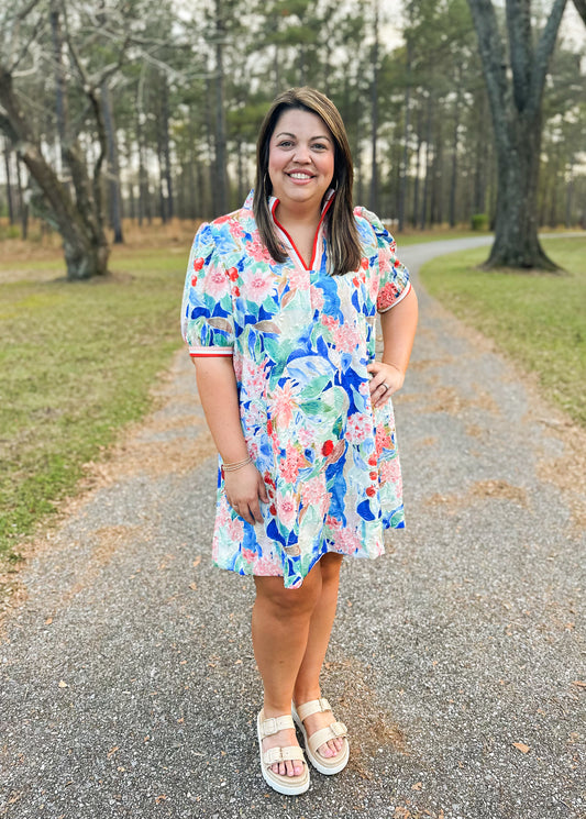 Blue Banded Dress